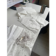 Фото пользователей