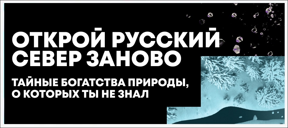 Природа Сибири и Заполярья — источник вдохновения