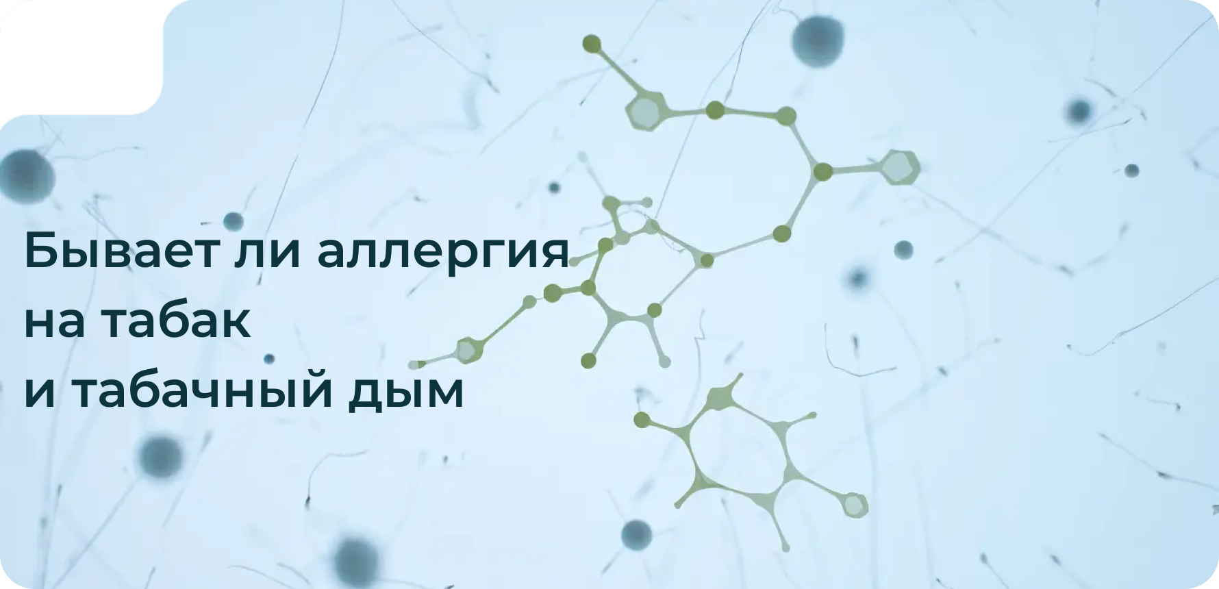 Бывает ли аллергия на табак и табачный дым