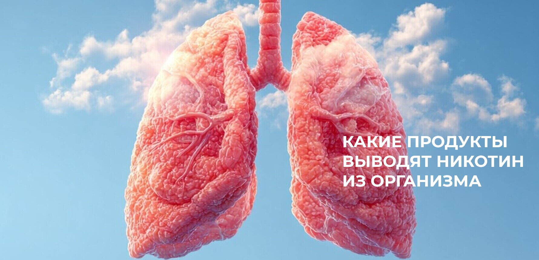 Какие продукты выводят никотин из организма