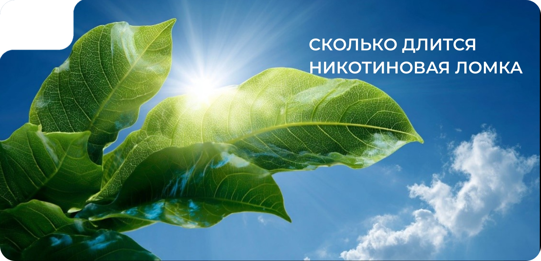 Сколько длится никотиновая ломка