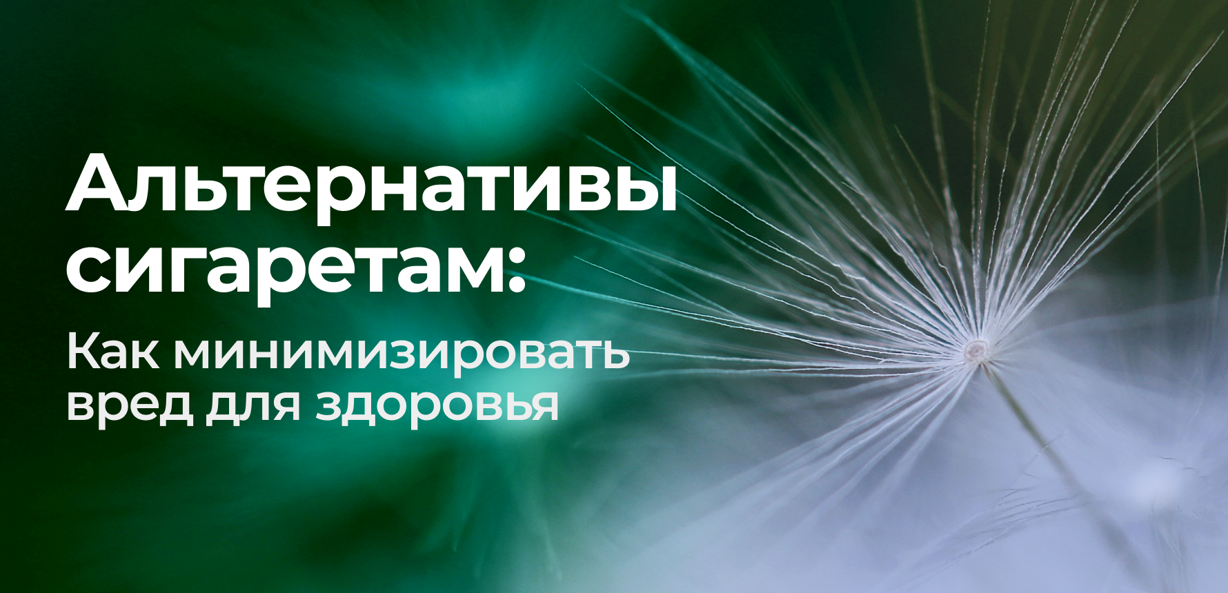 Что курить вместо сигарет и без вреда