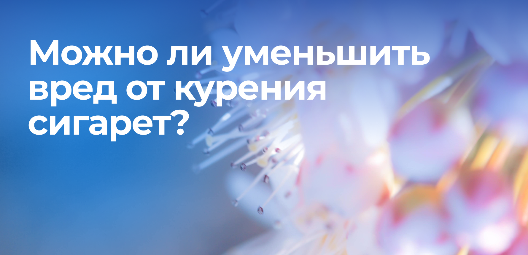Можно ли уменьшить вред от курения сигарет?