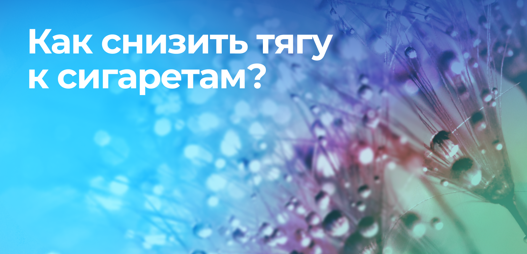 Как снизить тягу к сигаретам?