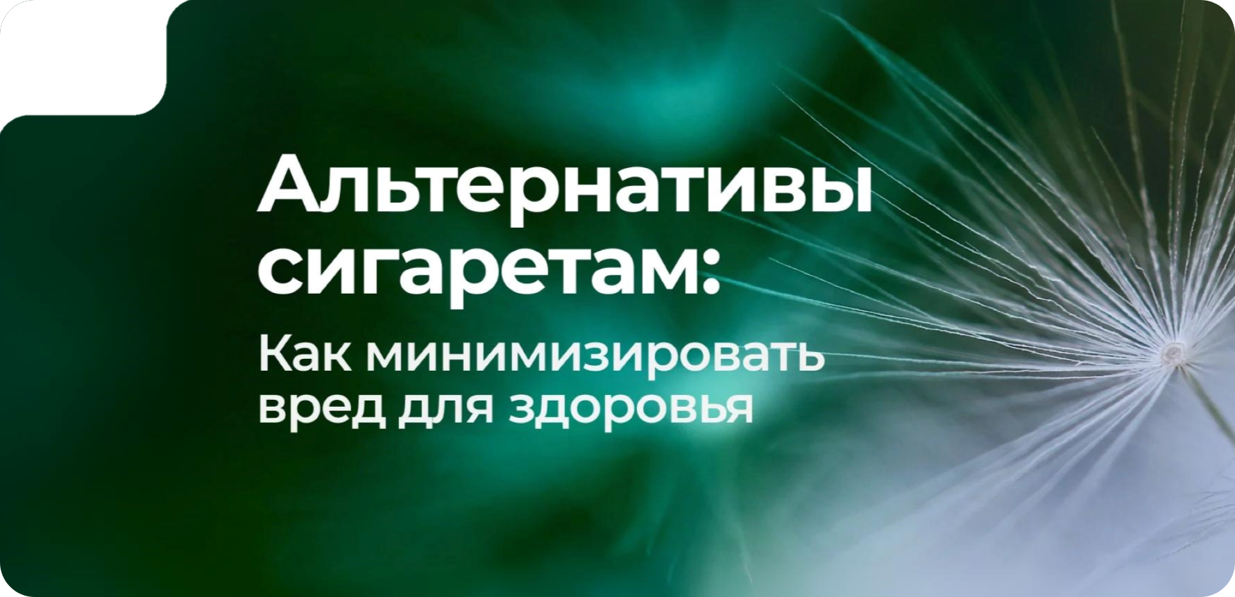 Альтернативы сигаретам: как минимизировать вред для здоровья 