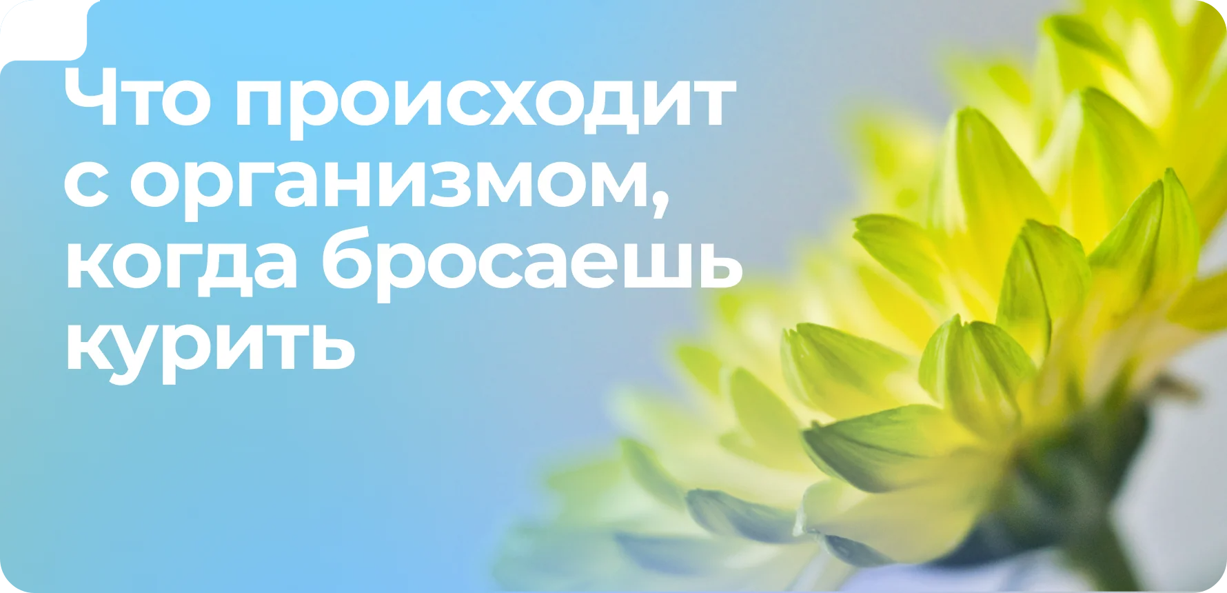 Что происходит с организмом, когда бросаешь курить 