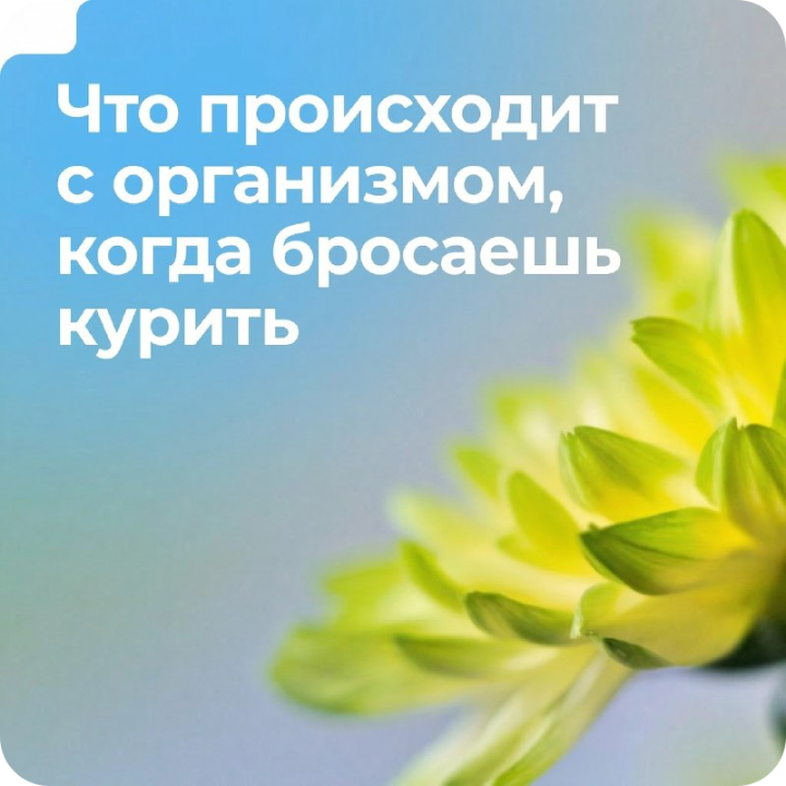 Что происходит с организмом, когда бросаешь курить