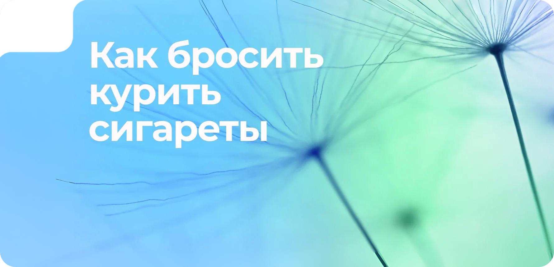 Как бросить курить: 5 вариантов чем заменить сигареты 