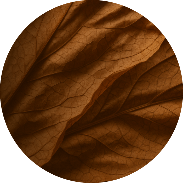 Лист табака