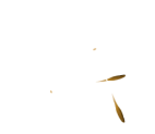 blowball