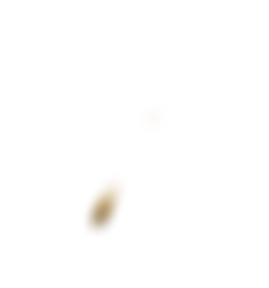 blowball