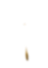 blowball