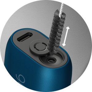 brush